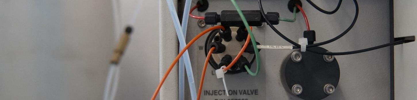 inspection valve